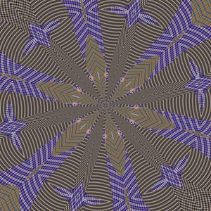 symmetrie #38 door Alex Caminker