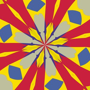 symmetrie #45 door Alex Caminker