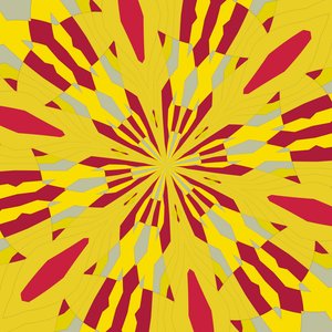 symmetrie #47 door Alex Caminker