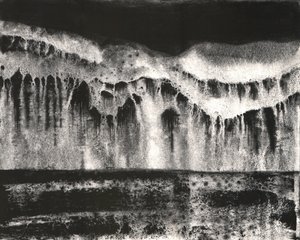 Donkere natuurabstractie door Alex Walsh