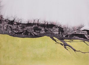 Goudveld door Alex Walsh