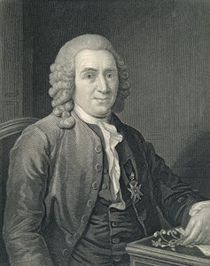 Portret van Carolus Linnaeus door Alexander (after) Roslin