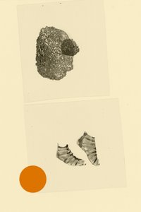 Hoofdvoet door Alexander Adiels