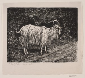 Een geitenbok door Alexander Blom