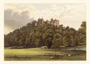 Dunster Castle, Somersetshire, Engeland, 1880 (gravure)