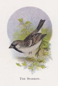 De Mus door Alexander Francis Lydon