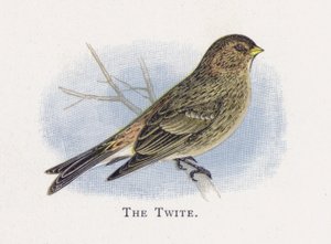 De Twiet