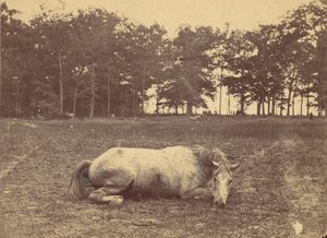 Is Dit Dood - Antietam Slagveld, september 1862