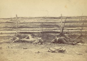 Uitzicht in het Veld, Aan de Westkant van de Hagerstown Road, Na de Slag bij Antietam door Alexander Gardner