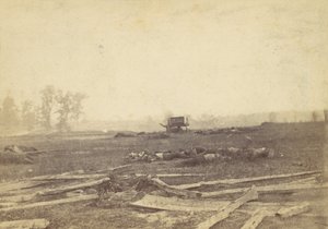 Uitzicht op het slagveld van Antietam, september 1862 door Alexander Gardner