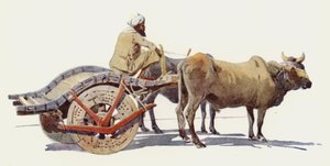 Een Ossenkar, Jodhpur