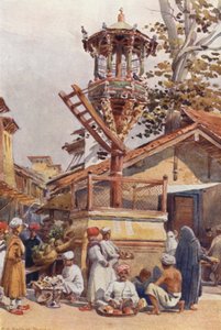 Een Voederplaats voor Vogels, Ahmedabad door Alexander Henry Hallam Murray