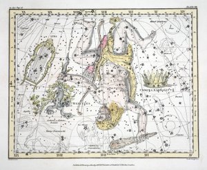 De sterrenbeelden (Plaat VIII) Coronoa Borealis, Hercules en Cerberus, Lyra, uit 