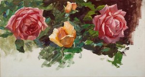 A. Koester, rozenstudie