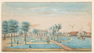 Gezicht op de suikerplantage Catharina Sophia door Alexander Ludwich Brockmann