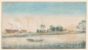Gezicht op de suikerplantage Catharina Sophia vanaf het water