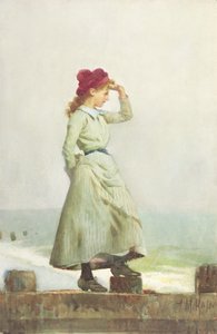Jong meisje op zeewering