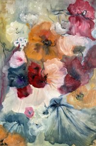 Kleurrijke klaprozen staan in bloei door Alexandra Higgins