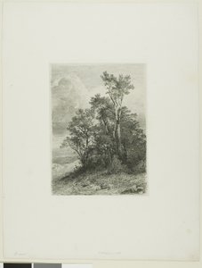 Alpenlandschap