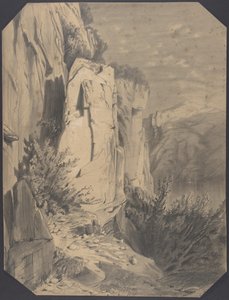 Bossen en bergen door Alexandre Calame