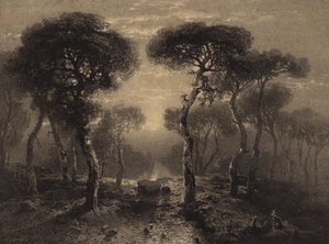 Landschap met bomen