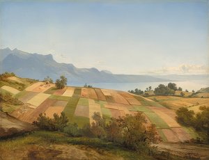 Zwitserland landschap