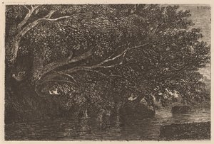 Bomen die over een Vijver Hangen door Alexandre Calame