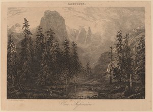 Een Sparrenbos door Alexandre Calame