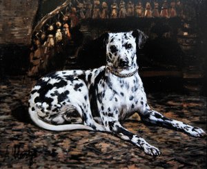Portret van een dalmatiër door Alexandre Clarys