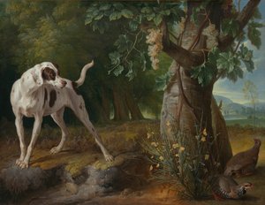 Hond die Patrijzen Wijst in een Landschap door Alexandre Francois Desportes