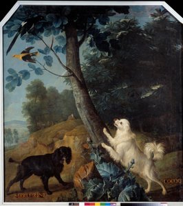 Merluzine en Cocoq, de honden van Lodewijk XIV (1638-1715). Schilderij door François Desportes (1661-1743) door Alexandre Francois Desportes
