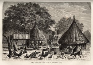 Dorp Diour in de winter (Soedan) en dagelijkse activiteiten van de inwoners te midden van dieren die door de gemeenschap worden grootgebracht, gravure naar de tekening van A. de Bar, ter illustratie van de reis naar het hart van Afrika in 1868-1871, door D