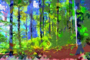 Ochtend,Bos,2020,(gemengde techniek)