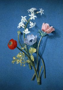 Ranonkels, anemonen en jasmijn