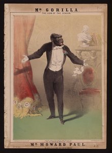 Ik ben de Gorilla van Monsieur Chaillu