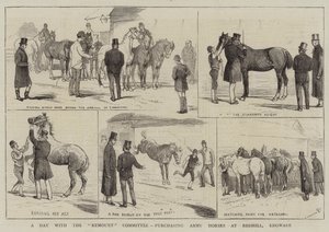 Een dag met het Remount Committee, legerpaarden kopen in Redhill, Edgware door Alfred Chantrey Corbould