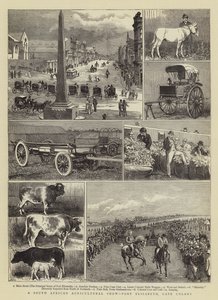 Een Zuid-Afrikaanse Landbouwshow, Port Elizabeth, Kaapkolonie