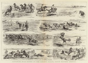 Het vangen van wilde paarden op de Laramie-vlaktes, Noordwest-Amerika