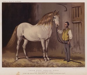 Crème staatskoetspaard, van de stoeterij van Hare Majesteit door Alfred Chantrey Corbould