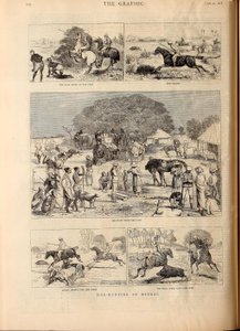 Varkensjacht in Bengalen door Alfred Chantrey Corbould