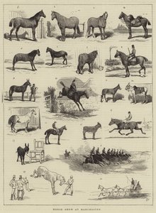 Paardenshow in Manchester door Alfred Chantrey Corbould