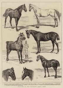 Schetsen op de Islington Paardenshow door Alfred Chantrey Corbould