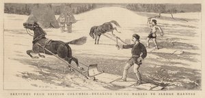 Schetsen uit British Columbia, jonge paarden breken voor slee harnas door Alfred Chantrey Corbould