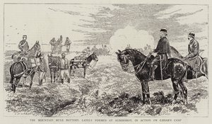 De bergmulebatterij, onlangs gevormd in Aldershot, in actie op Caesar