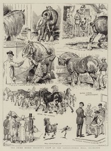 De show van de Shire Horse Society in de Agricultural Hall, Islington door Alfred Chantrey Corbould