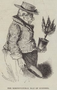 De Tuinbouwman van Zaken door Alfred Crowquill