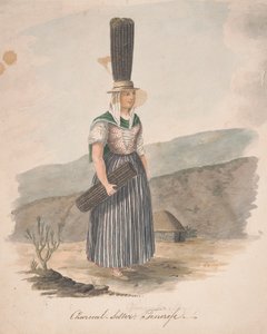 Houtskoolverkoper, Tenerife