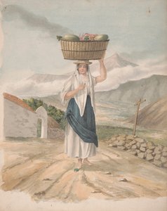 Vrouwelijke Ventster van Port Orotava door Alfred Diston