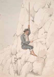 Gomero, Orchilla Verzamelaars