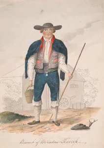 Boer van Miradero, Tenerife door Alfred Diston